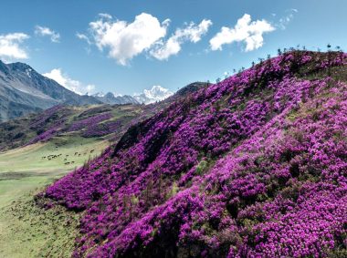 Куда поехать в мае: лучшие направления по России и миру